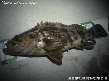 ¥¿¥±¥Î¥³¥á¥Ð¥ë