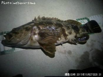 ¥¿¥±¥Î¥³¥á¥Ð¥ë