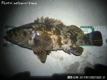 ¥¿¥±¥Î¥³¥á¥Ð¥ë