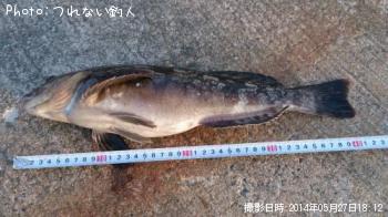 �����ʥ�