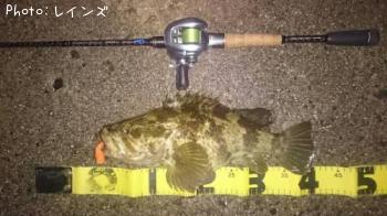 �����Υ���Х�