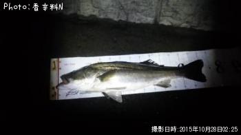 �����Х�