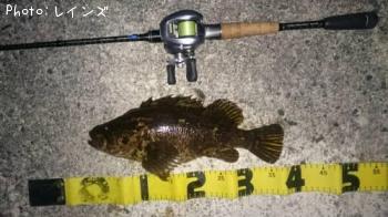 ¥¿¥±¥Î¥³¥á¥Ð¥ë