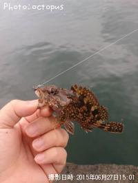 ������