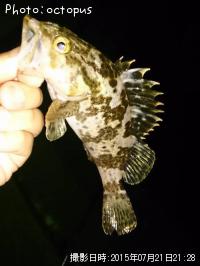 �����Υ���Х�