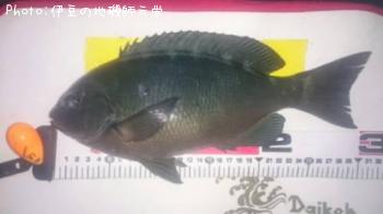 ¸ýÂÀ¥á¥¸¥Ê