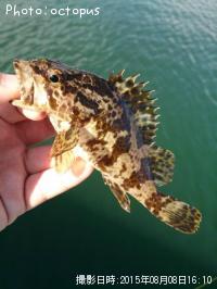 �����Υ���Х�