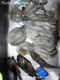 Âý¡õ¥«¥µ¥´