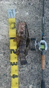 ¥¿¥±¥Î¥³¥á¥Ð¥ë