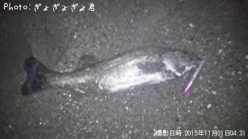 �����Х�