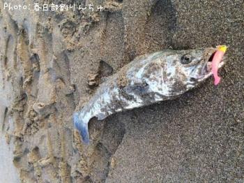 �����Х�