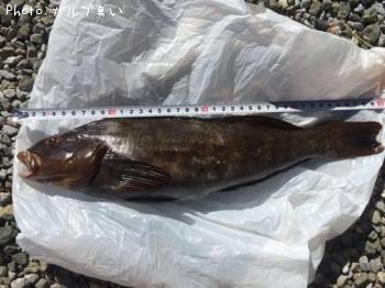 �����ʥ�