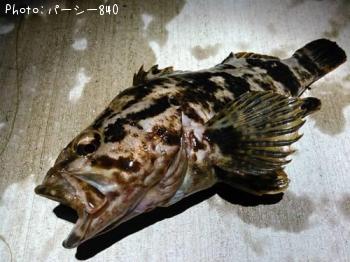 �����Υ���Х�