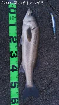 �����Х�