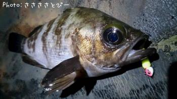 ��������Х�������Х�