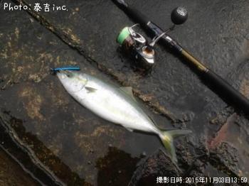 ÀÄʪ¥Ñ¡¼¥È£±