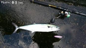 ��ʪ�ѡ��ȣ�