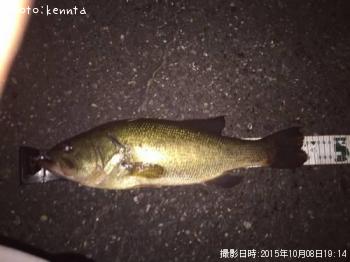 �֥�å��Х�