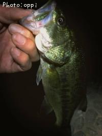 ¥Ö¥é¥Ã¥¯¥Ð¥¹