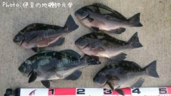 ¸ýÂÀ¥á¥¸¥Ê