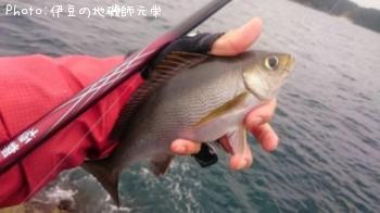 ¸ýÂÀ¥á¥¸¥Ê