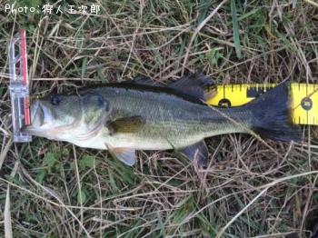 �֥�å��Х�