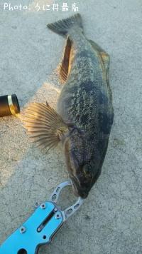 �����ʥ�