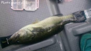 �֥�å��Х�