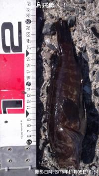 ����ʥ����ˤλ�