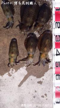 �����ꥤ��