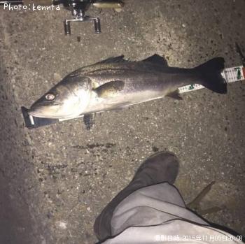 �����Х�