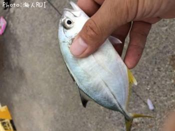 �������ǣԡ�