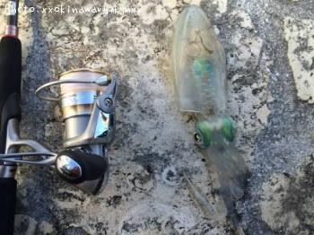 �����ꥤ��