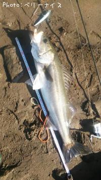 �����Х�