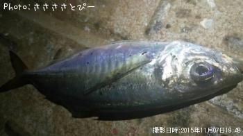 ��������Х�