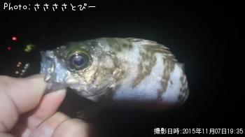 ��������Х�