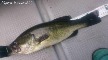 ¥Ö¥é¥Ã¥¯¥Ð¥¹