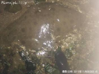 �ĥХ�������