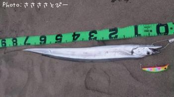 ������������������ա�