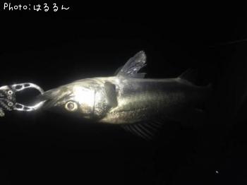 �����Х�