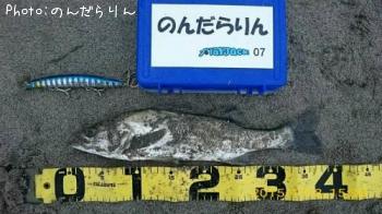 �����Х�