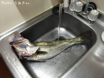 �����Х�