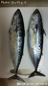 ���������ĥ�