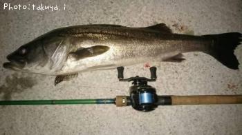 �����Х�