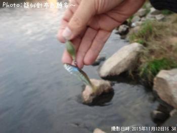 ���������