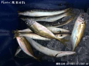 �������ޥ�