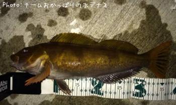 �����ʥ�