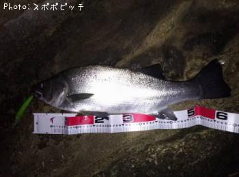 �ҥ饹����