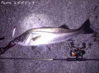 �����Х�