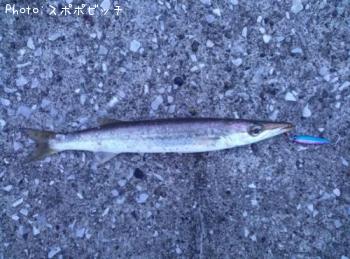 �����Х�